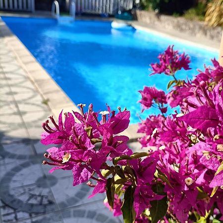 Les Bichettes Bed and Breakfast Mortagne-sur-Sevre Εξωτερικό φωτογραφία