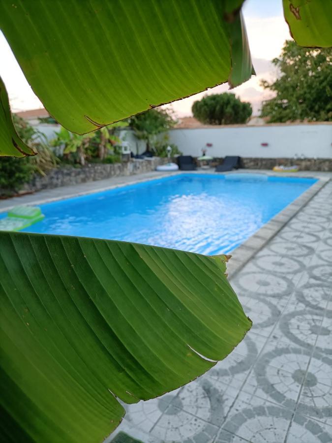 Les Bichettes Bed and Breakfast Mortagne-sur-Sevre Εξωτερικό φωτογραφία
