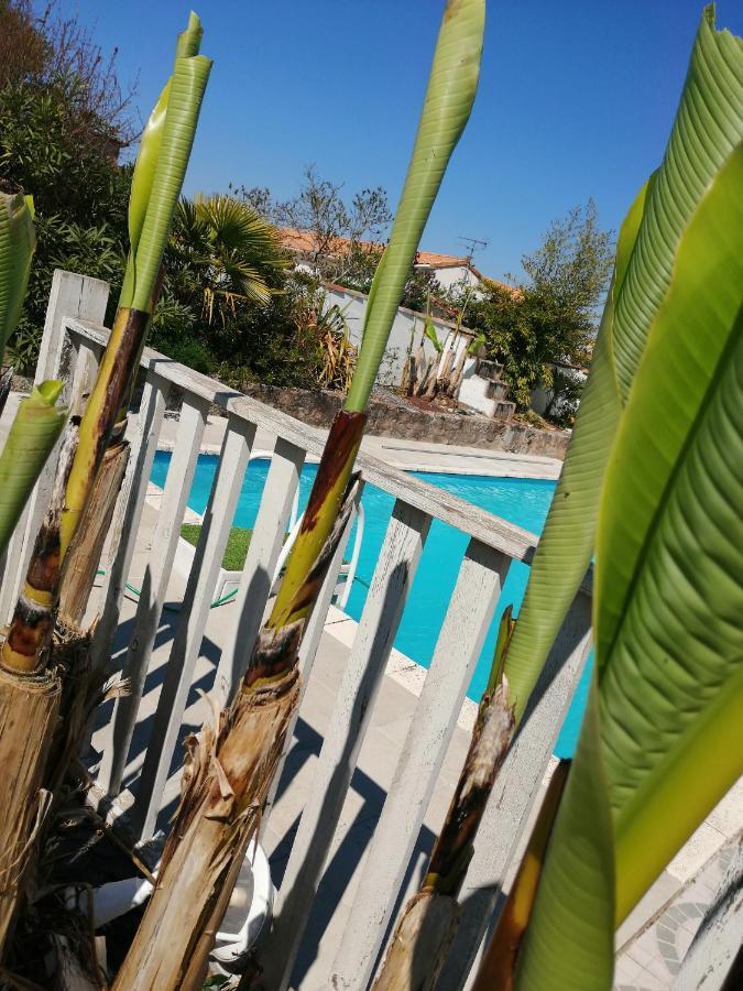 Les Bichettes Bed and Breakfast Mortagne-sur-Sevre Εξωτερικό φωτογραφία