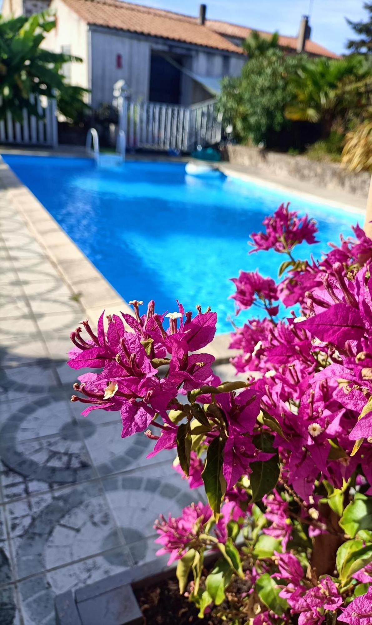 Les Bichettes Bed and Breakfast Mortagne-sur-Sevre Εξωτερικό φωτογραφία